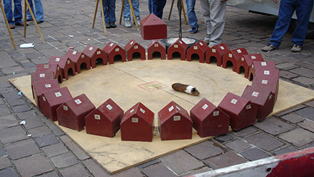 Gioco del tuin